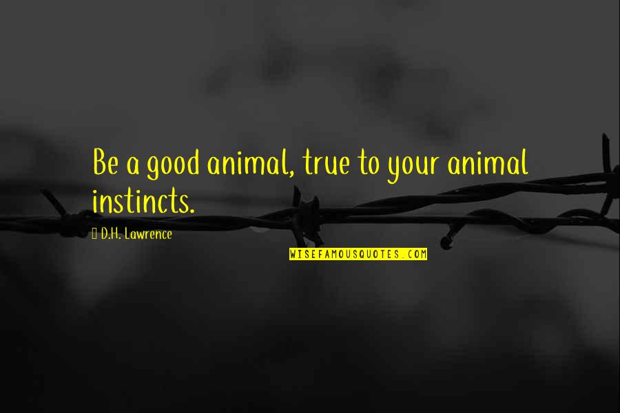 Good Instincts Quotes By D.H. Lawrence: Be a good animal, true to your animal