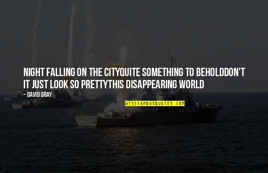Good Interaction Quotes By David Gray: Night falling on the cityQuite something to beholdDon't