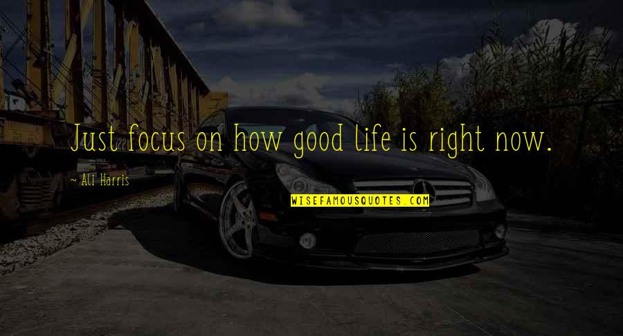 Good Is Now Quotes By Ali Harris: Just focus on how good life is right