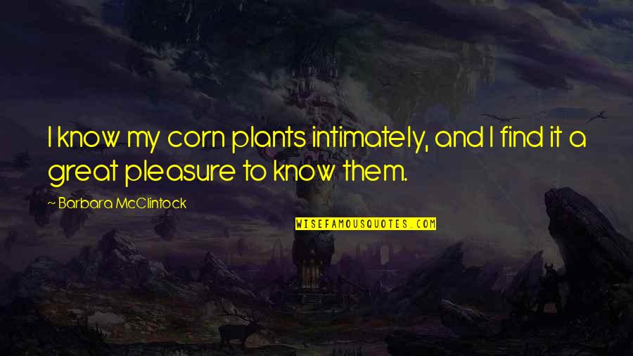 Good Job Doctor Quotes By Barbara McClintock: I know my corn plants intimately, and I