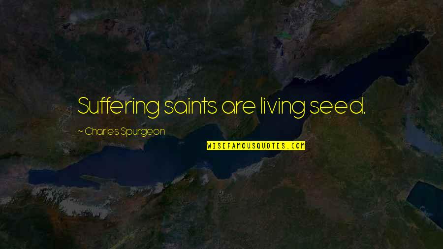 Good Job Performance Quotes By Charles Spurgeon: Suffering saints are living seed.