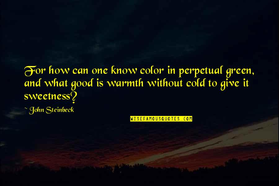 Good John Green Quotes By John Steinbeck: For how can one know color in perpetual