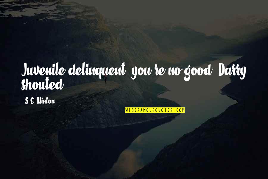 Good Juvenile Quotes By S.E. Hinton: Juvenile delinquent, you're no good! Darry shouted.