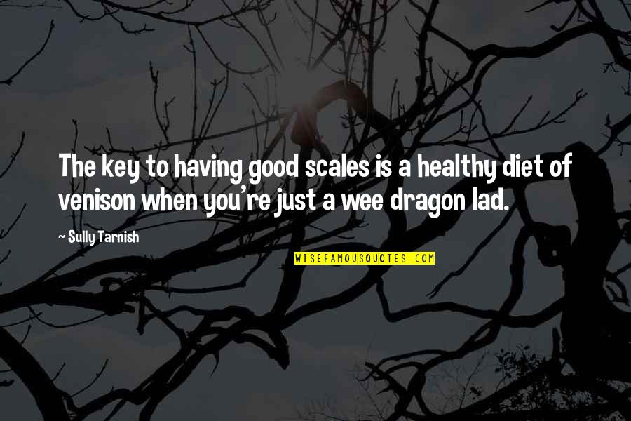 Good Lad Quotes By Sully Tarnish: The key to having good scales is a