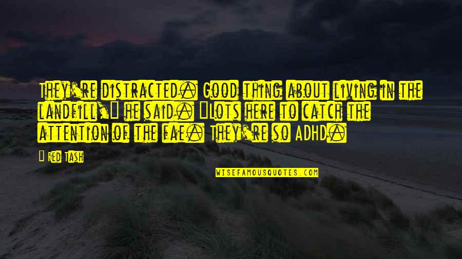 Good Living Quotes By Red Tash: They're distracted. Good thing about living in the