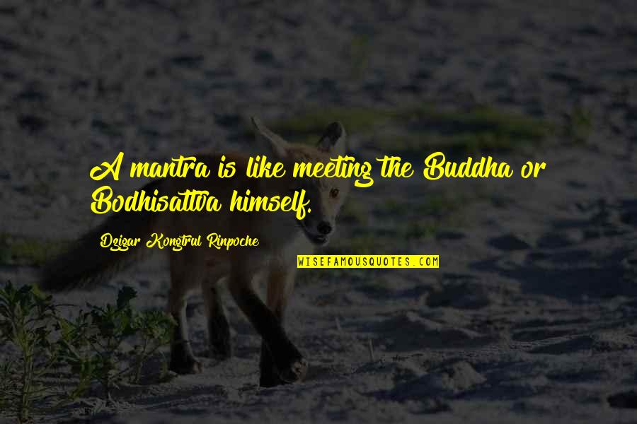 Good Luck Charlie Quotes By Dzigar Kongtrul Rinpoche: A mantra is like meeting the Buddha or Good Luck Charlie Quotes By Dzigar Kongtrul Rinpoche: A mantra is like meeting the Buddha or