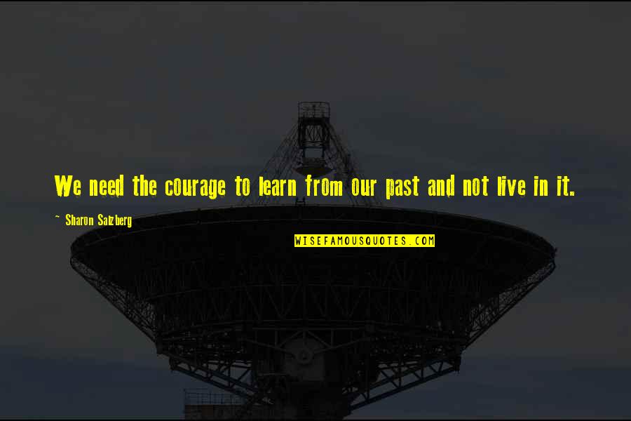 Good Man Funny Quotes By Sharon Salzberg: We need the courage to learn from our