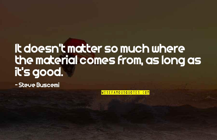 Good Material Quotes By Steve Buscemi: It doesn't matter so much where the material