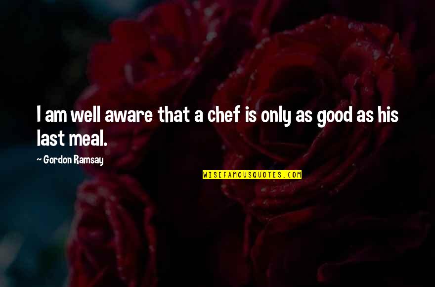 Good Meal Quotes By Gordon Ramsay: I am well aware that a chef is