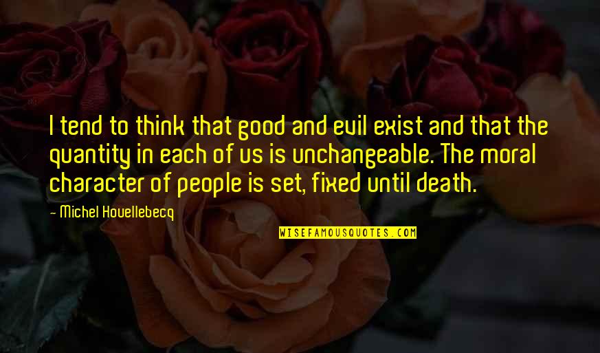 Good Moral Character Quotes By Michel Houellebecq: I tend to think that good and evil