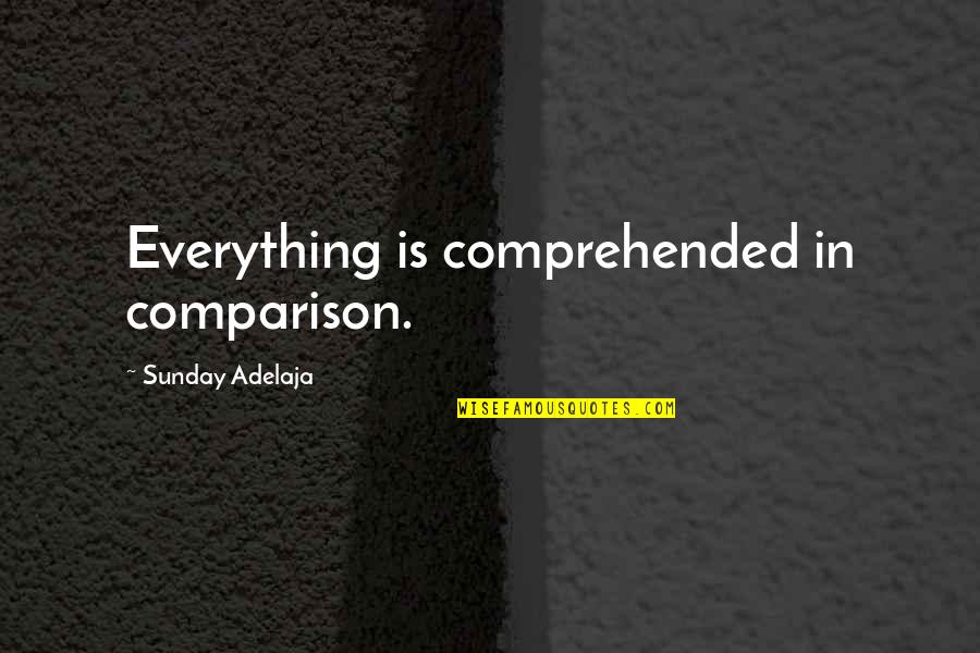 Good Morning Baby Quotes By Sunday Adelaja: Everything is comprehended in comparison.