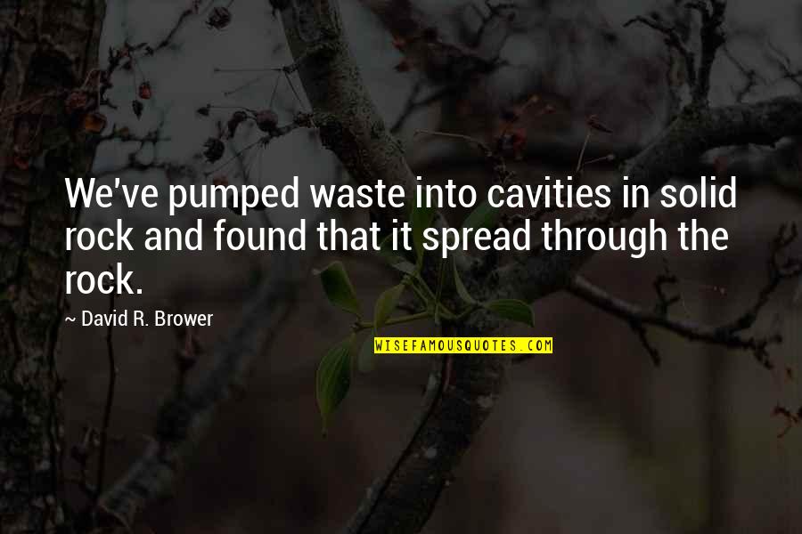 Good Morning Regret Quotes By David R. Brower: We've pumped waste into cavities in solid rock