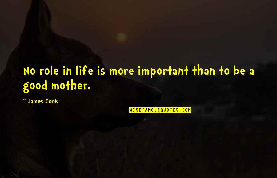 Good Mother Quotes By James Cook: No role in life is more important than