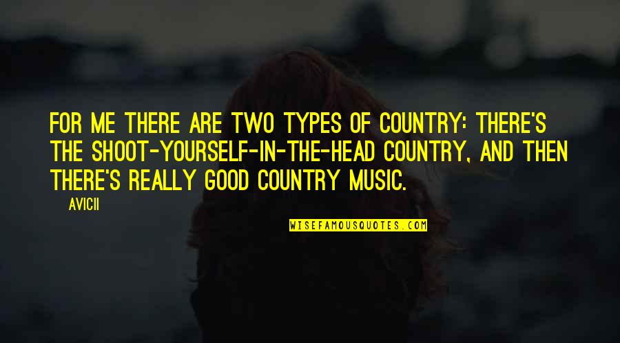 Good Music Quotes By Avicii: For me there are two types of country: