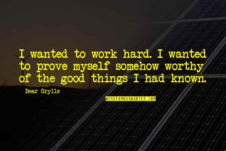 Good Myself Quotes By Bear Grylls: I wanted to work hard. I wanted to