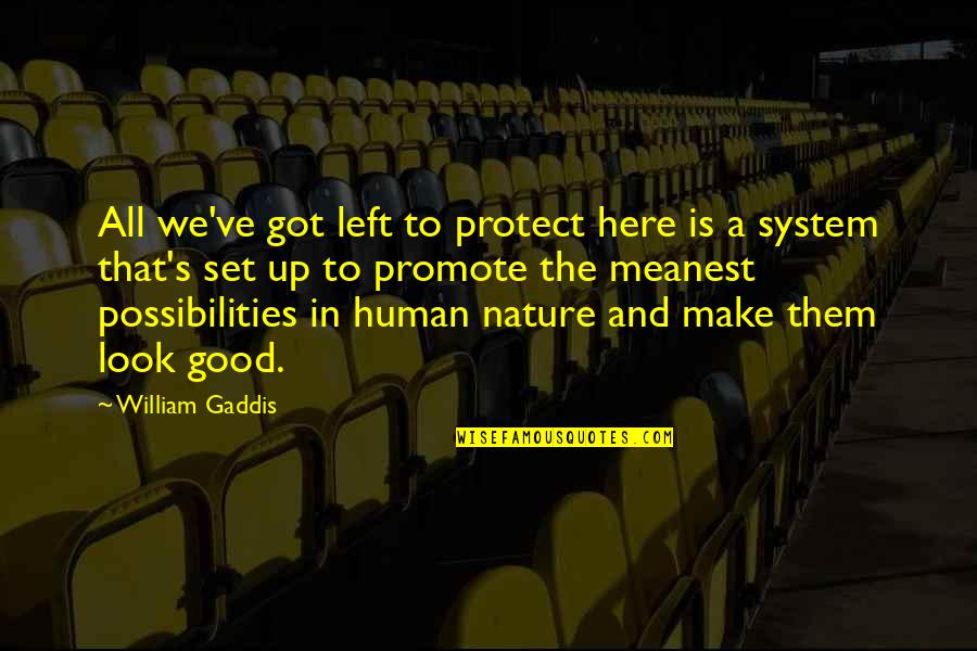 Good Nature Quotes By William Gaddis: All we've got left to protect here is