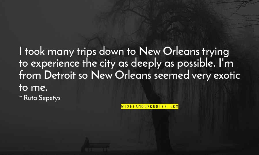Good Nf Quotes By Ruta Sepetys: I took many trips down to New Orleans