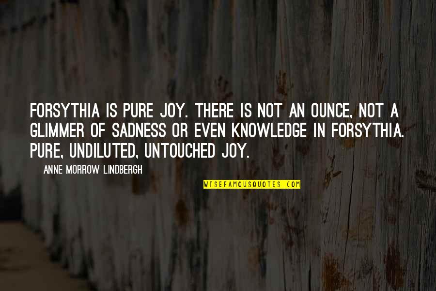 Good Night And Get Well Quotes By Anne Morrow Lindbergh: Forsythia is pure joy. There is not an Good Night And Get Well Quotes By Anne Morrow Lindbergh: Forsythia is pure joy. There is not an