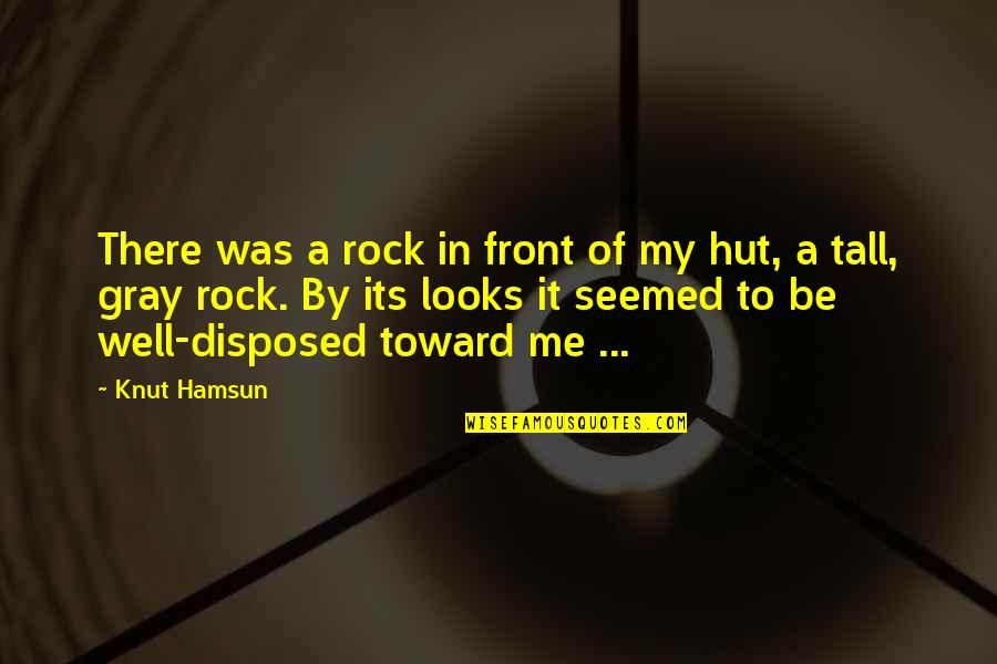 Good Night Dear Quotes By Knut Hamsun: There was a rock in front of my
