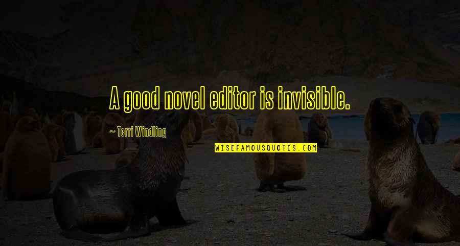 Good Novel Quotes By Terri Windling: A good novel editor is invisible.