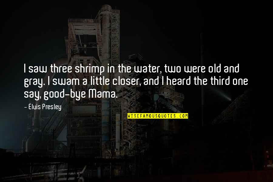 Good Old Quotes By Elvis Presley: I saw three shrimp in the water, two