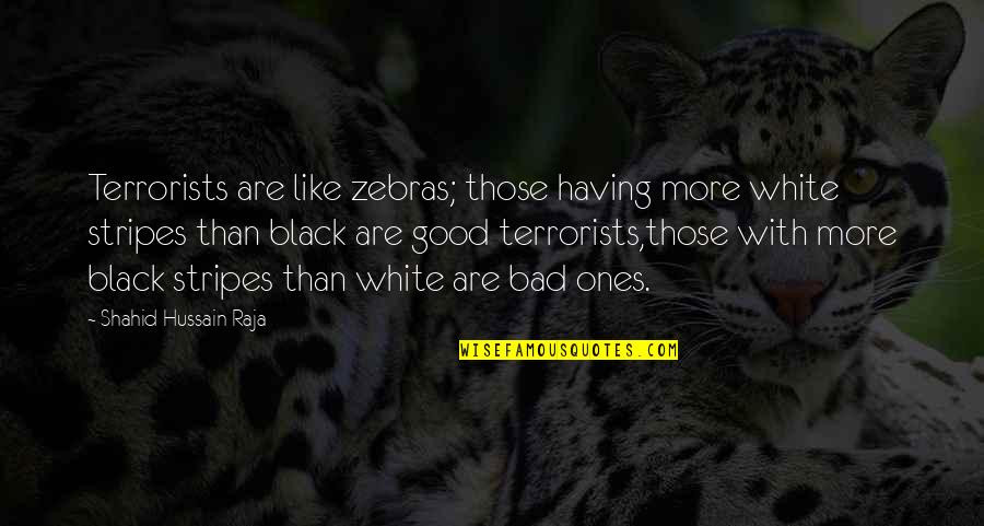 Good Ones Quotes By Shahid Hussain Raja: Terrorists are like zebras; those having more white Good Ones Quotes By Shahid Hussain Raja: Terrorists are like zebras; those having more white