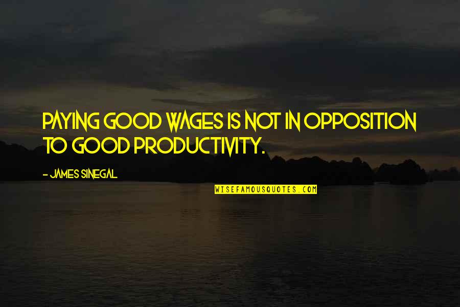 Good Opposition Quotes By James Sinegal: Paying good wages is not in opposition to Good Opposition Quotes By James Sinegal: Paying good wages is not in opposition to