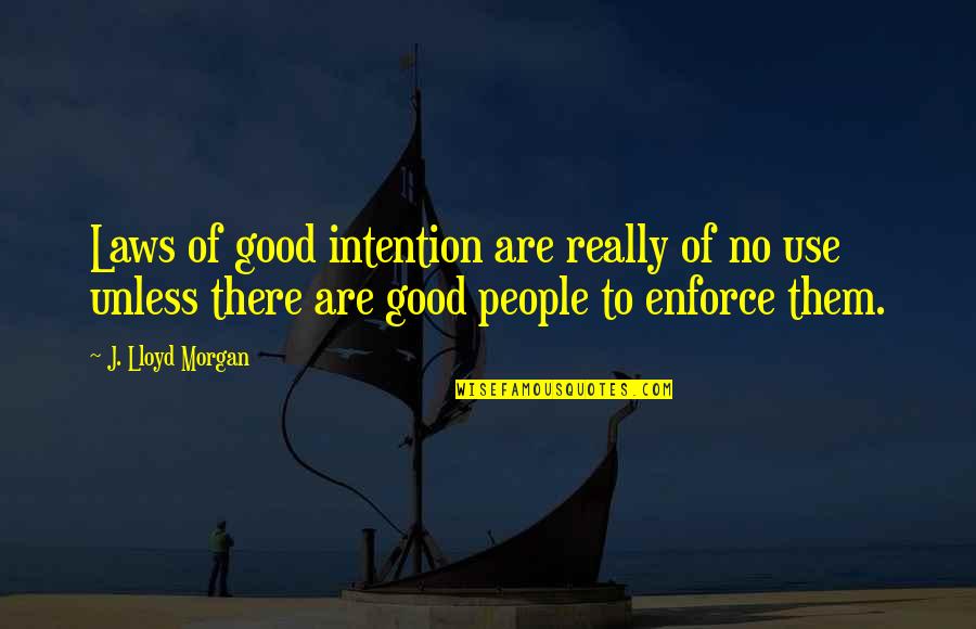 Good Pals Quotes By J. Lloyd Morgan: Laws of good intention are really of no Good Pals Quotes By J. Lloyd Morgan: Laws of good intention are really of no