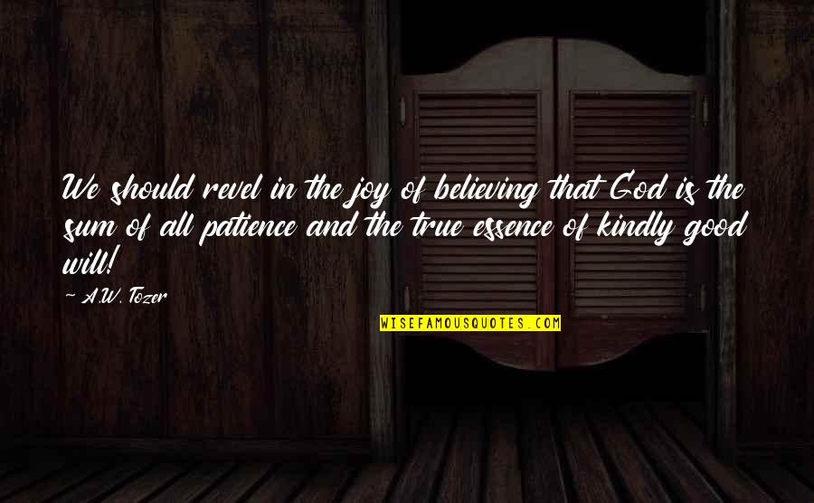 Good Patience Quotes By A.W. Tozer: We should revel in the joy of believing Good Patience Quotes By A.W. Tozer: We should revel in the joy of believing