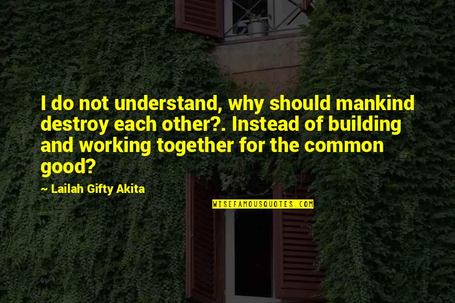 Good Peacemaker Quotes By Lailah Gifty Akita: I do not understand, why should mankind destroy