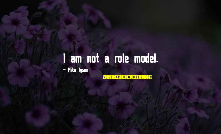 Good Perfectionists Quotes By Mike Tyson: I am not a role model.