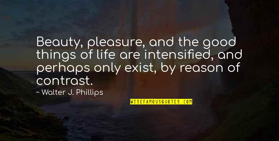 Good Perhaps Life Quotes By Walter J. Phillips: Beauty, pleasure, and the good things of life