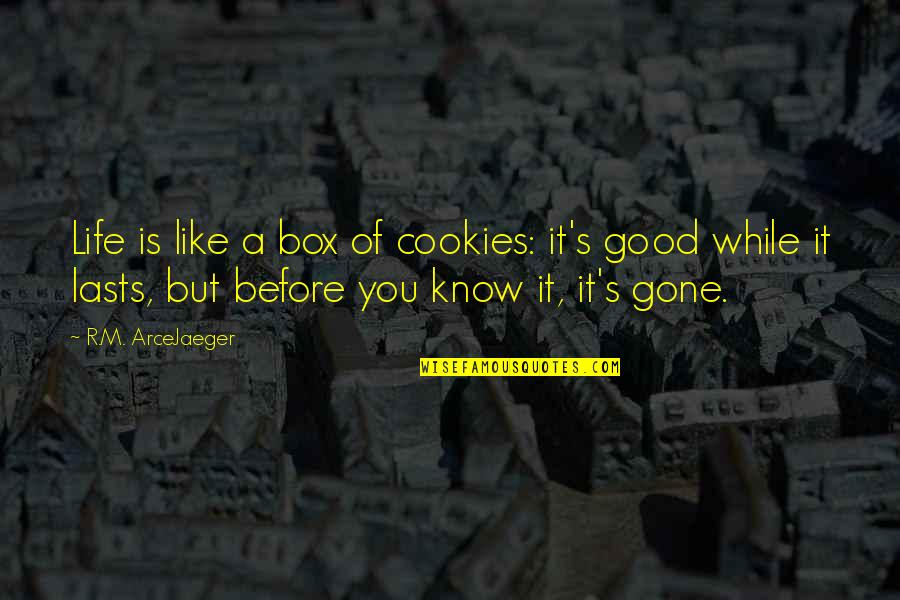 Good Philosophical Quotes By R.M. ArceJaeger: Life is like a box of cookies: it's