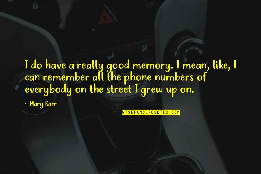 Good Phone Quotes By Mary Karr: I do have a really good memory. I Good Phone Quotes By Mary Karr: I do have a really good memory. I