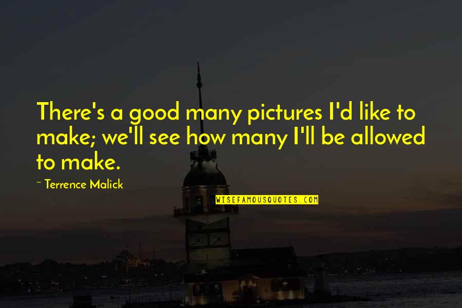 Good Pictures And Quotes By Terrence Malick: There's a good many pictures I'd like to