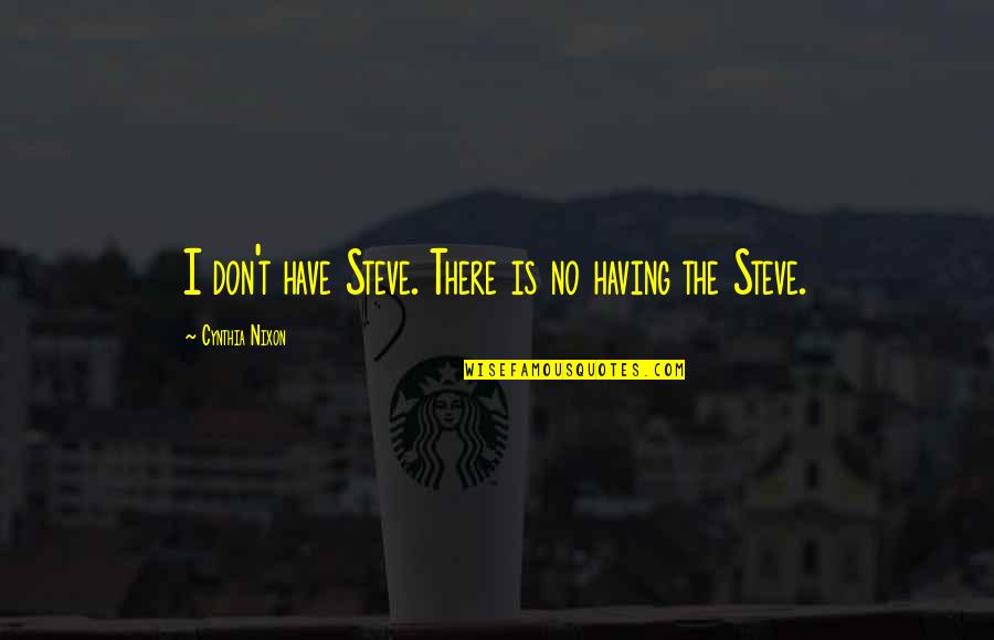 Good Pitcher Quotes By Cynthia Nixon: I don't have Steve. There is no having