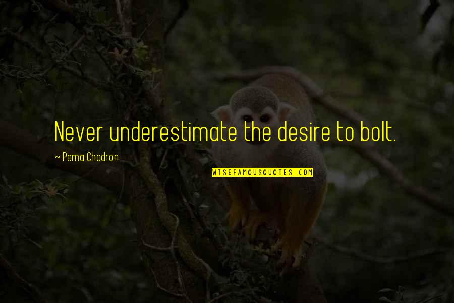 Good Postcard Quotes By Pema Chodron: Never underestimate the desire to bolt.