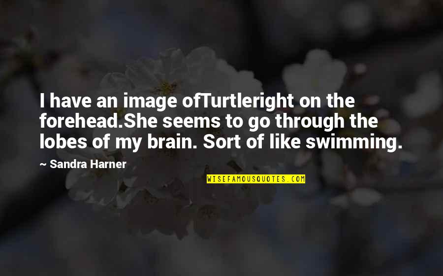 Good Precept Quotes By Sandra Harner: I have an image ofTurtleright on the forehead.She