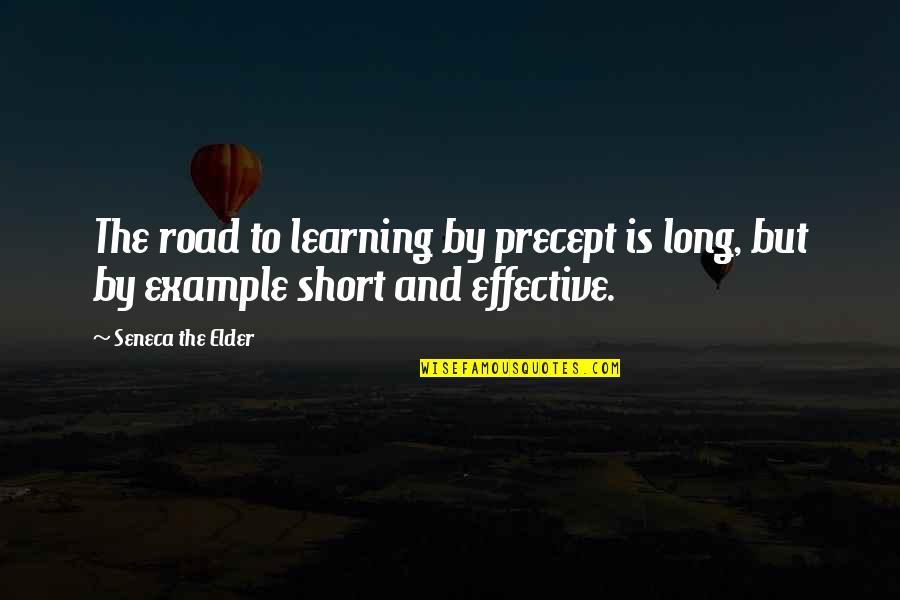 Good Precept Quotes By Seneca The Elder: The road to learning by precept is long,