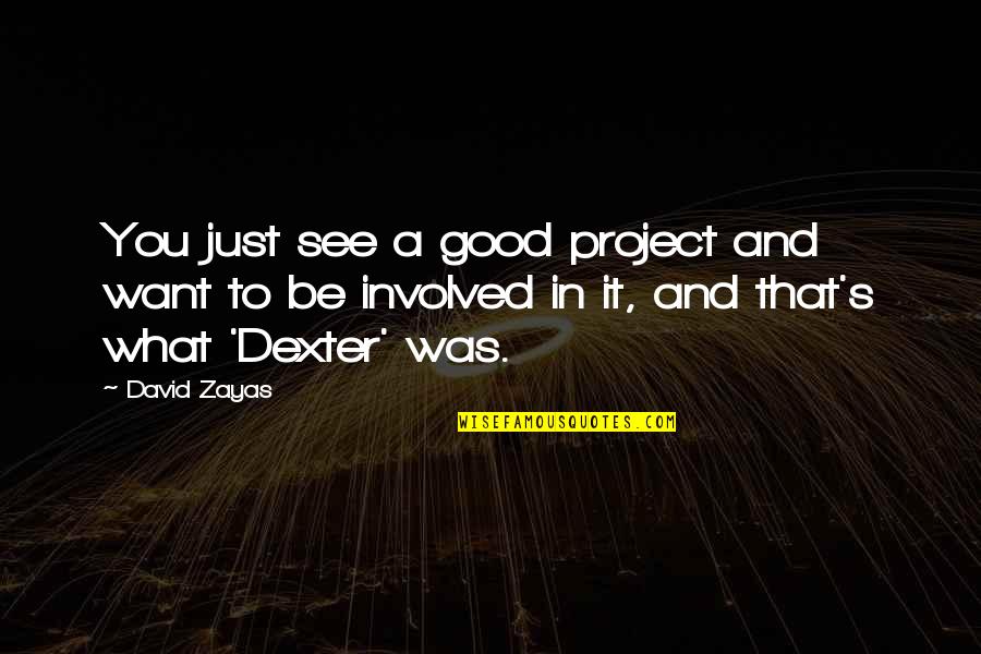 Good Project Quotes By David Zayas: You just see a good project and want