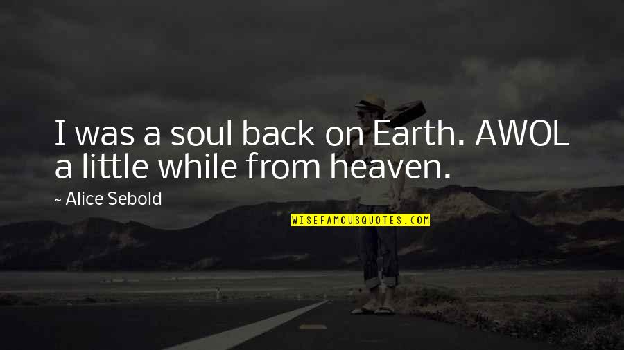 Good Pudding Quotes By Alice Sebold: I was a soul back on Earth. AWOL