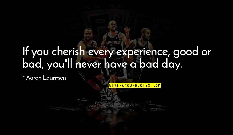 Good Quote Quotes By Aaron Lauritsen: If you cherish every experience, good or bad,