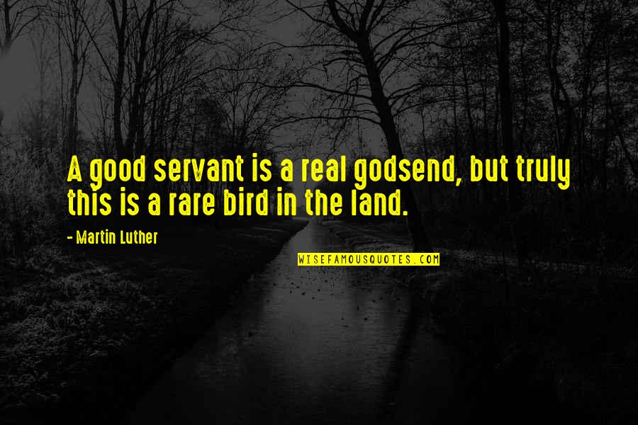 Good Rare Quotes By Martin Luther: A good servant is a real godsend, but