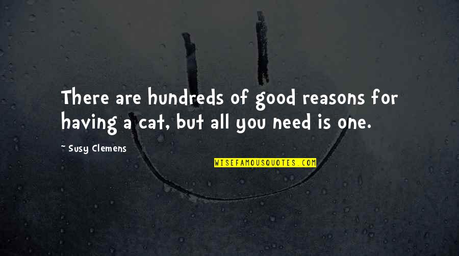 Good Reasons Quotes By Susy Clemens: There are hundreds of good reasons for having