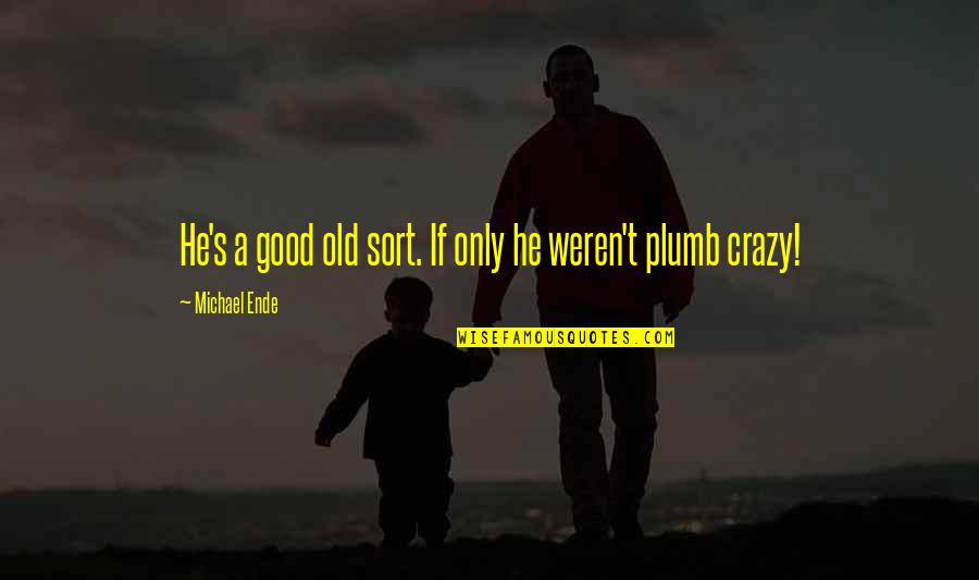 Good Relationships Quotes By Michael Ende: He's a good old sort. If only he