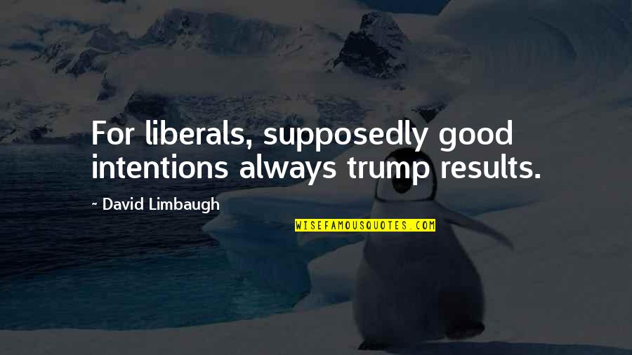 Good Results Quotes By David Limbaugh: For liberals, supposedly good intentions always trump results.