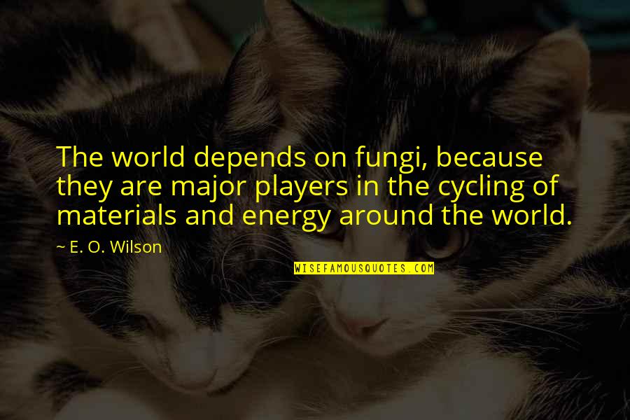 Good Revolutions Quotes By E. O. Wilson: The world depends on fungi, because they are Good Revolutions Quotes By E. O. Wilson: The world depends on fungi, because they are