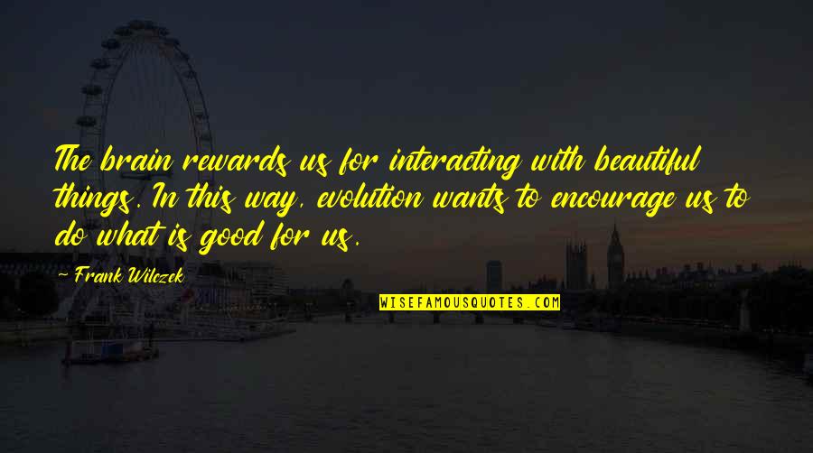 Good Rewards Quotes By Frank Wilczek: The brain rewards us for interacting with beautiful Good Rewards Quotes By Frank Wilczek: The brain rewards us for interacting with beautiful