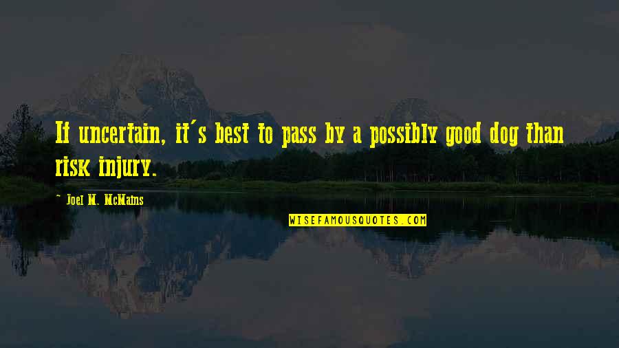 Good Risk Quotes By Joel M. McMains: If uncertain, it's best to pass by a