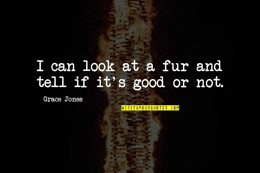 Good S Quotes By Grace Jones: I can look at a fur and tell Good S Quotes By Grace Jones: I can look at a fur and tell